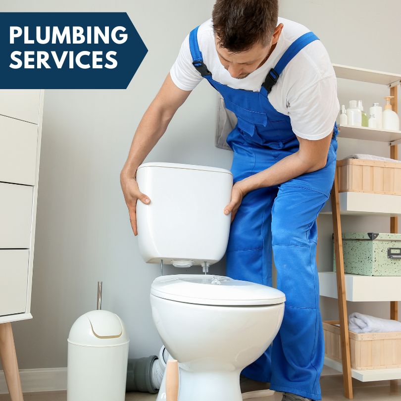 Plumbing Company in Thonotosassa, FL